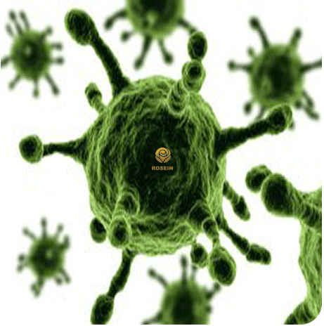 اهمیت استفاده از میکروکلیما برای ایجاد، تغییر یا اصلاح آن