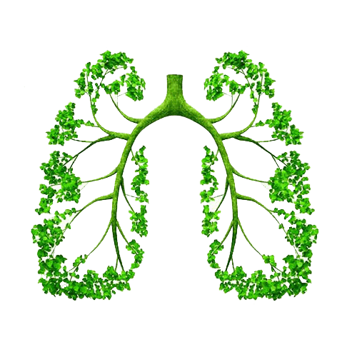 Home - رُزین | مرکز تجهیزات پاک - رُزین مرکز تجهیزات و انرژی پاک