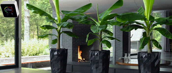 Home - ما ابتدا هوای خانه و محل کار شما را میسنجیم، سپس راهحل ارائه میدهیم Home - رُزین | مرکز تجهیزات پاک - رُزین مرکز تجهیزات و انرژی پاک