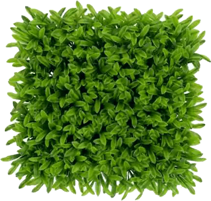 Home - رُزین | مرکز تجهیزات پاک - رُزین مرکز تجهیزات و انرژی پاک